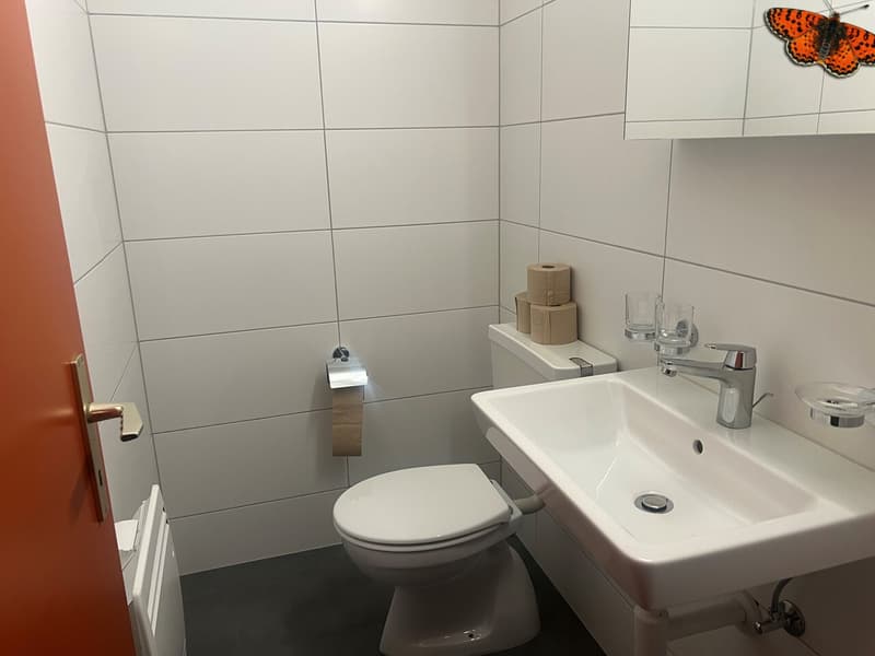 INCANTEVOLE DUPLEX DI 2 ½ LOCALI A ROMONT! (6)