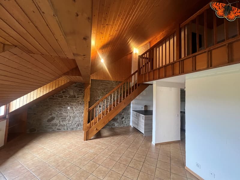 INCANTEVOLE DUPLEX DI 2 ½ LOCALI A ROMONT! (8)