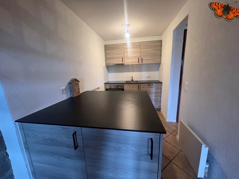 INCANTEVOLE DUPLEX DI 2 ½ LOCALI A ROMONT! (2)
