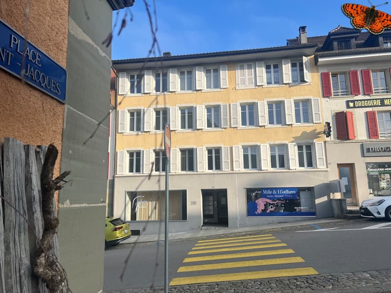 INCANTEVOLE DUPLEX DI 2 ½ LOCALI A ROMONT! (7)