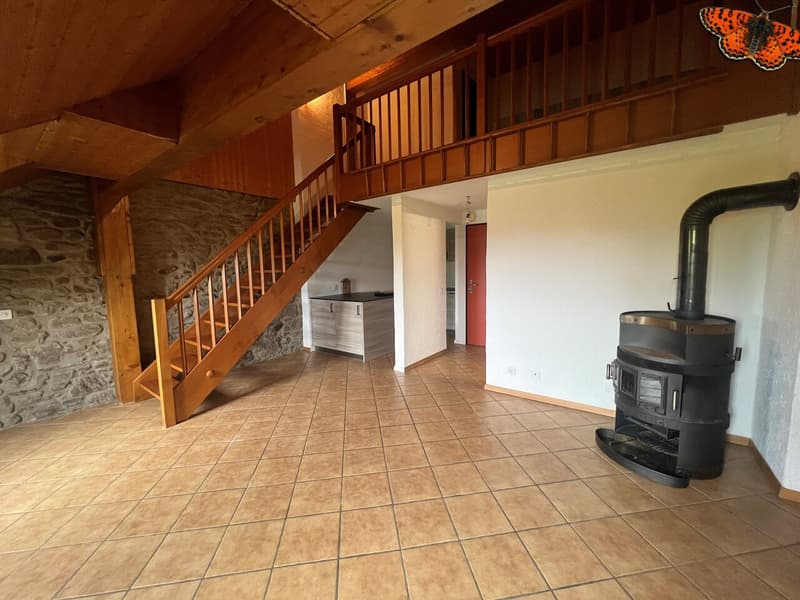 INCANTEVOLE DUPLEX DI 2 ½ LOCALI A ROMONT! (1)