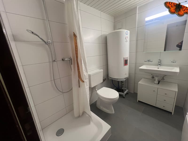 INCANTEVOLE DUPLEX DI 2 ½ LOCALI A ROMONT! (5)