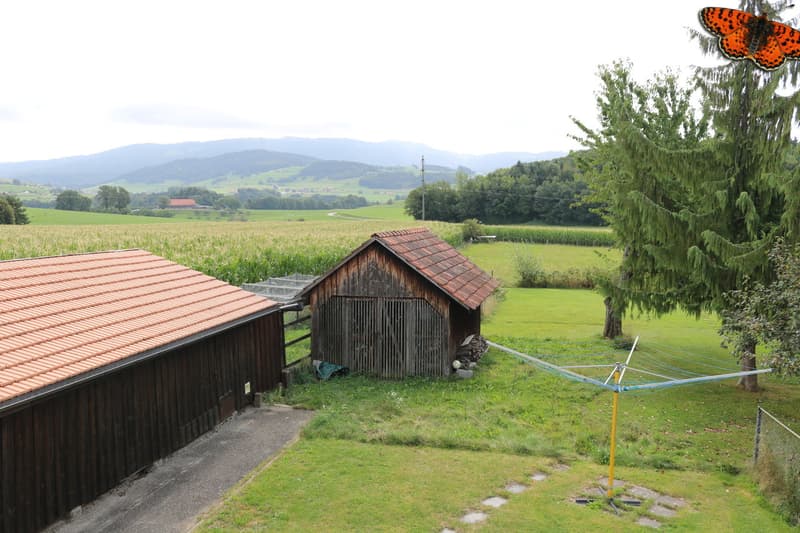 Jardin et vue