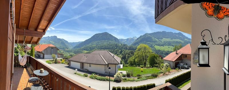 Incantevole 3 ½ pezzi rinnovato - Grande balcone a V di 25m²! (9)