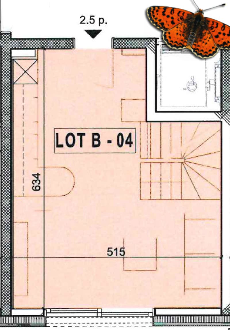 Plan rez