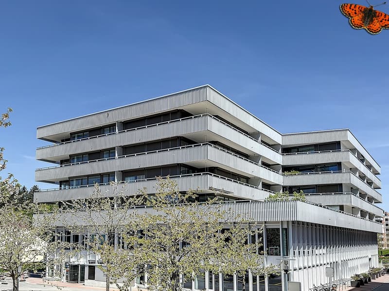Immeuble