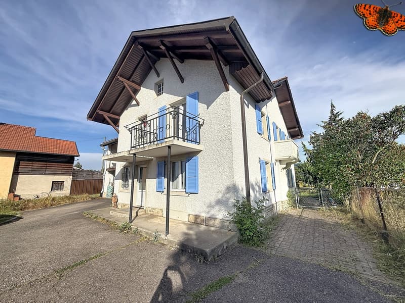 Maison