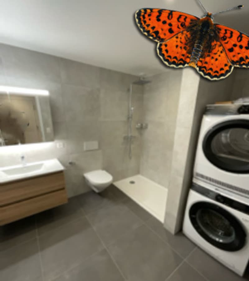 Salle de douche