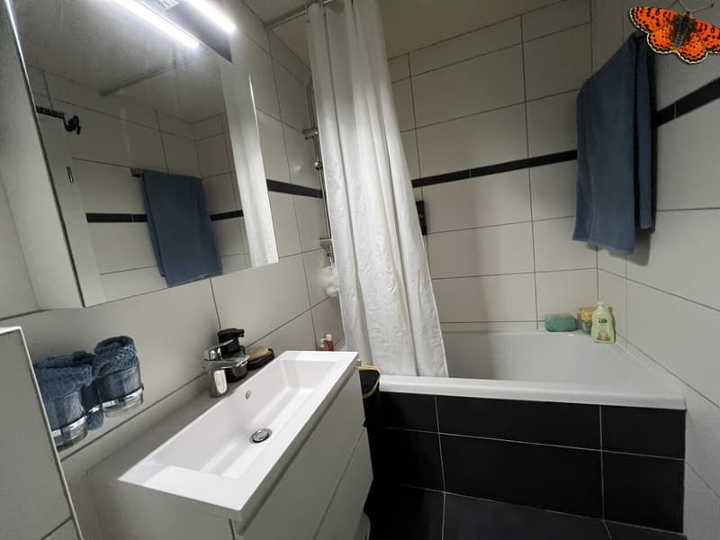 CHARMANT 3 ½ PIECES DUPLEX - ALBEUVE (4)