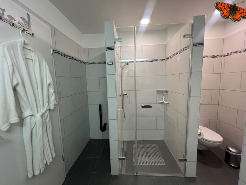 CHARMING 4½ ROOMS - Center of La Roche (5)