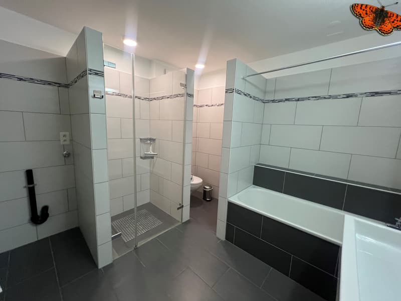 CHARMING 4½ ROOMS - Center of La Roche (6)