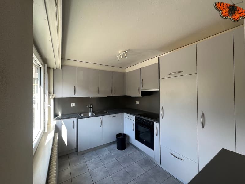 INCANTEVOLE 3 ½ LOCALI - ALBEUVE (2)