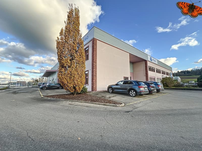 Magazzino divisibile di 1'730 m² vicino agli assi autostradali (12)