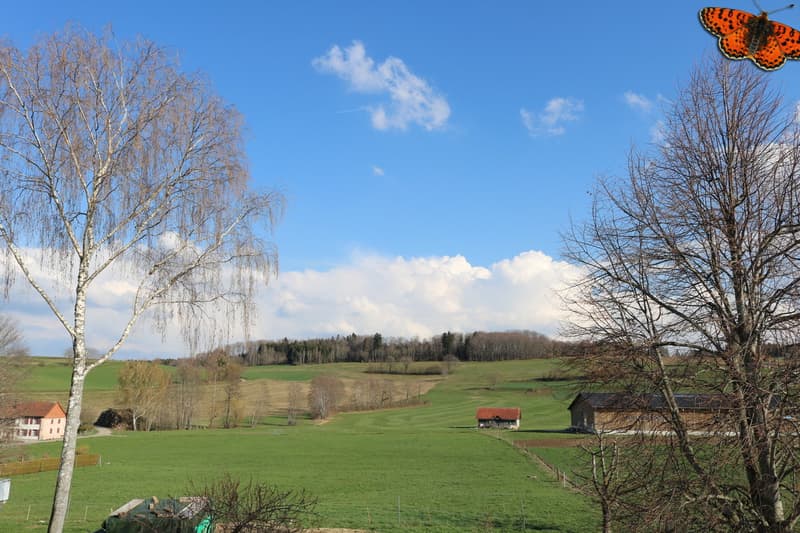 Vue