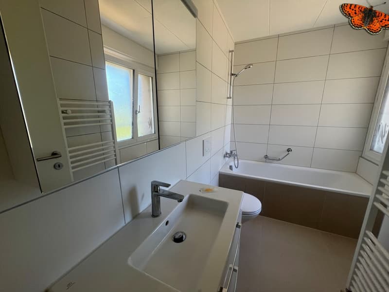 CHARMING 4 ½ ROOMS - Next to the school in Bouley (9)