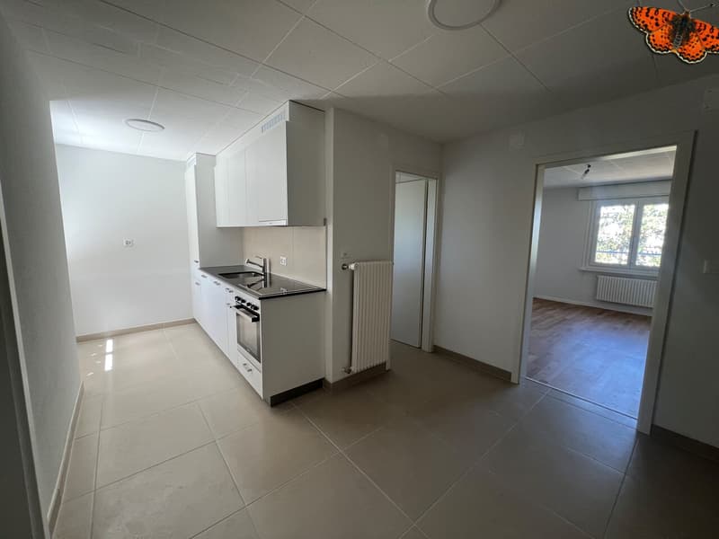 CHARMING 4 ½ ROOMS - Next to the school in Bouley (6)