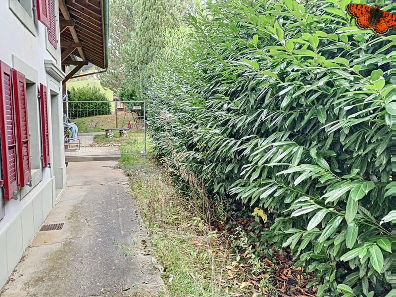 VIA - 2½ LOCALI - Al pianterreno! (2)