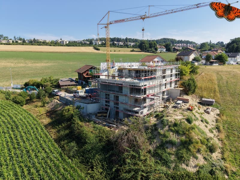 Magnifique 3.5 pces avec jardin privatif et beau dégagement (8)