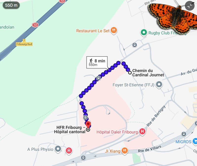 Trajet vers HFR à pied