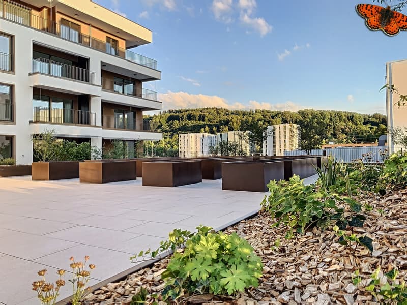 Jardins potager