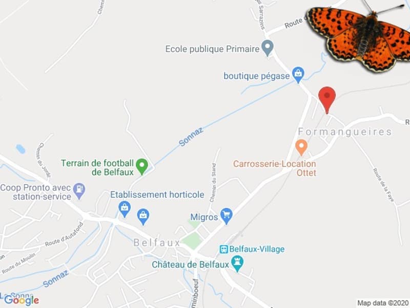 Plan de situation
