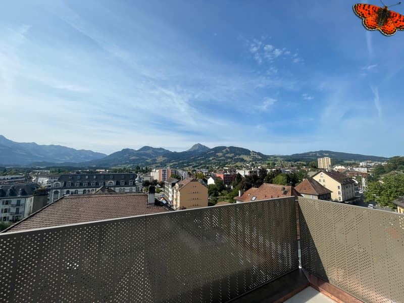 Vue