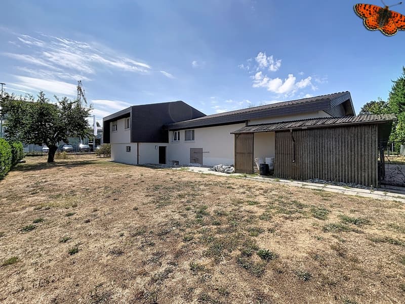 Maison individuelle avec jardin et beau potentiel à Payerne (10)