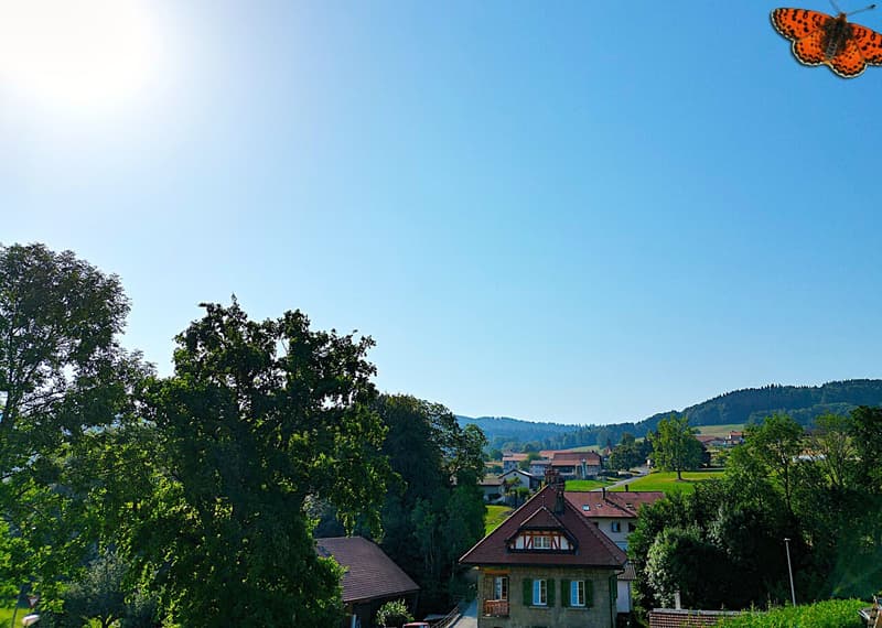 Vue depuis la terrasse