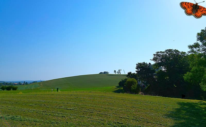 Vue depuis la terrasse