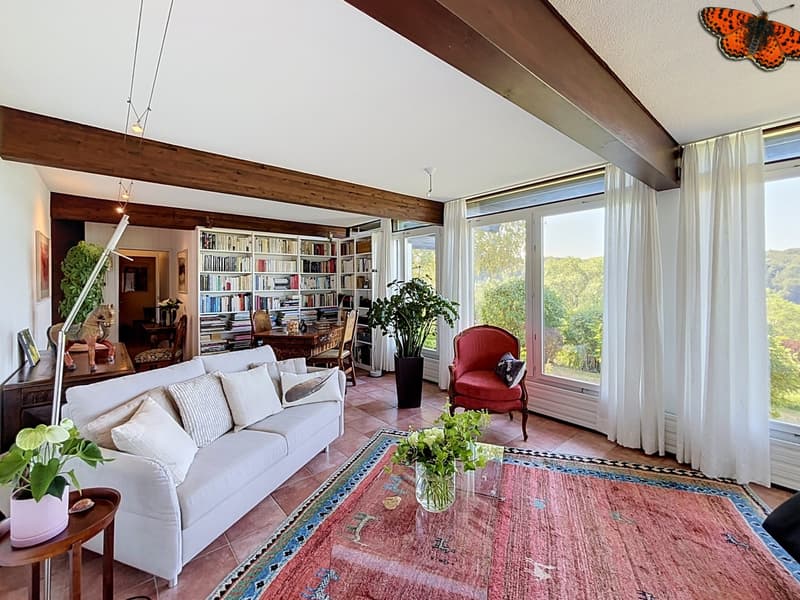 Maison individuelle avec vue dégagée à Marly ! (4)