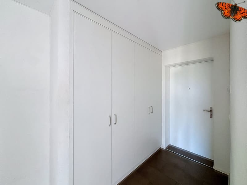 À VENDRE À BULLE - SUPERBES LOCAUX COMMERCIAUX À LA PÂLA ! (10)
