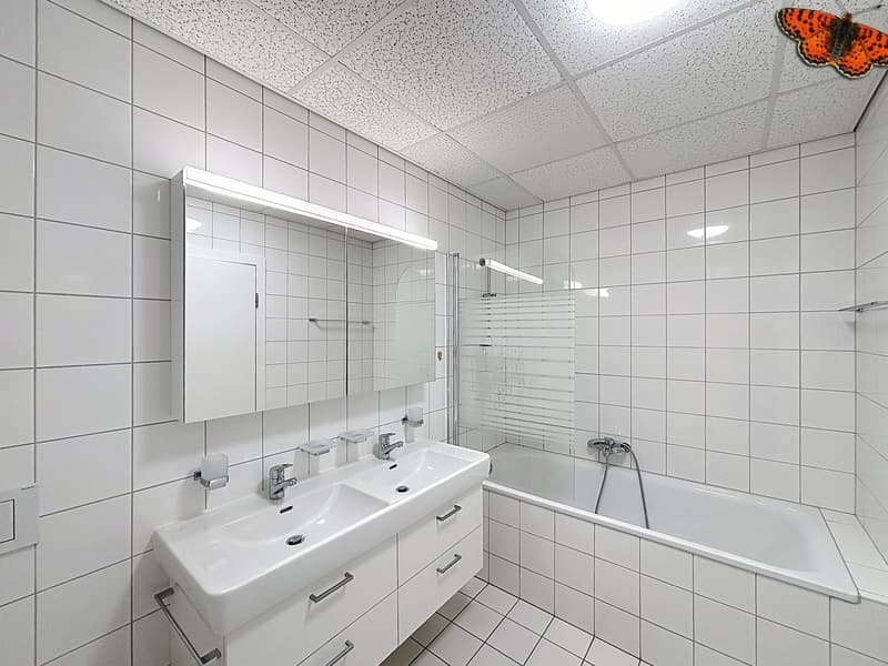 À VENDRE À BULLE - SUPERBES LOCAUX COMMERCIAUX À LA PÂLA ! (9)