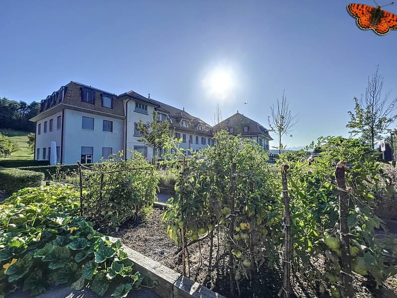 Potager commun