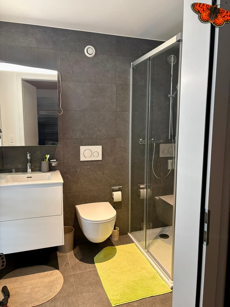 salle d'eau douche