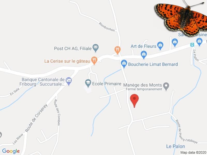 Plan de situation