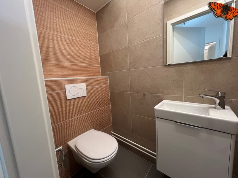 APPARTEMENT DUPLEX DE 2 ½ PIECES A ROMONT ! (10)