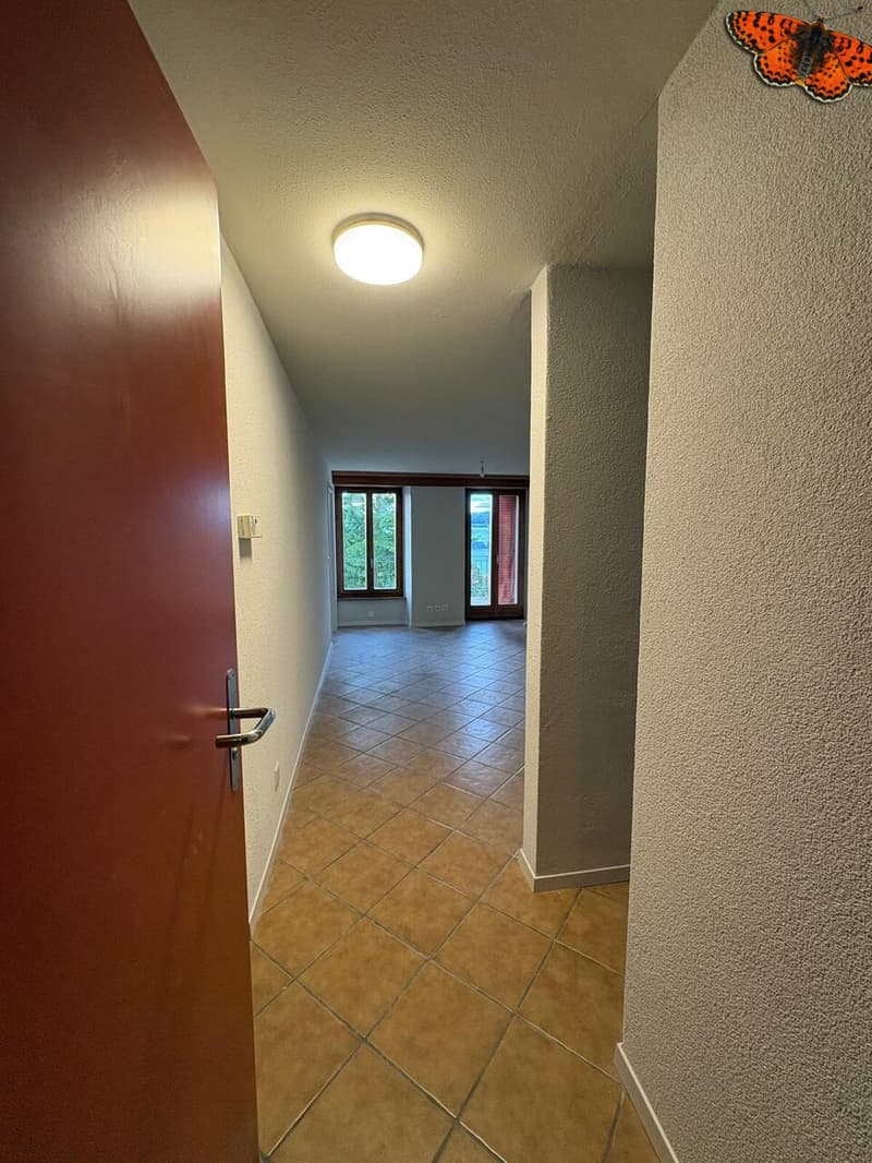 APPARTEMENT DUPLEX DE 2 ½ PIECES A ROMONT ! (5)