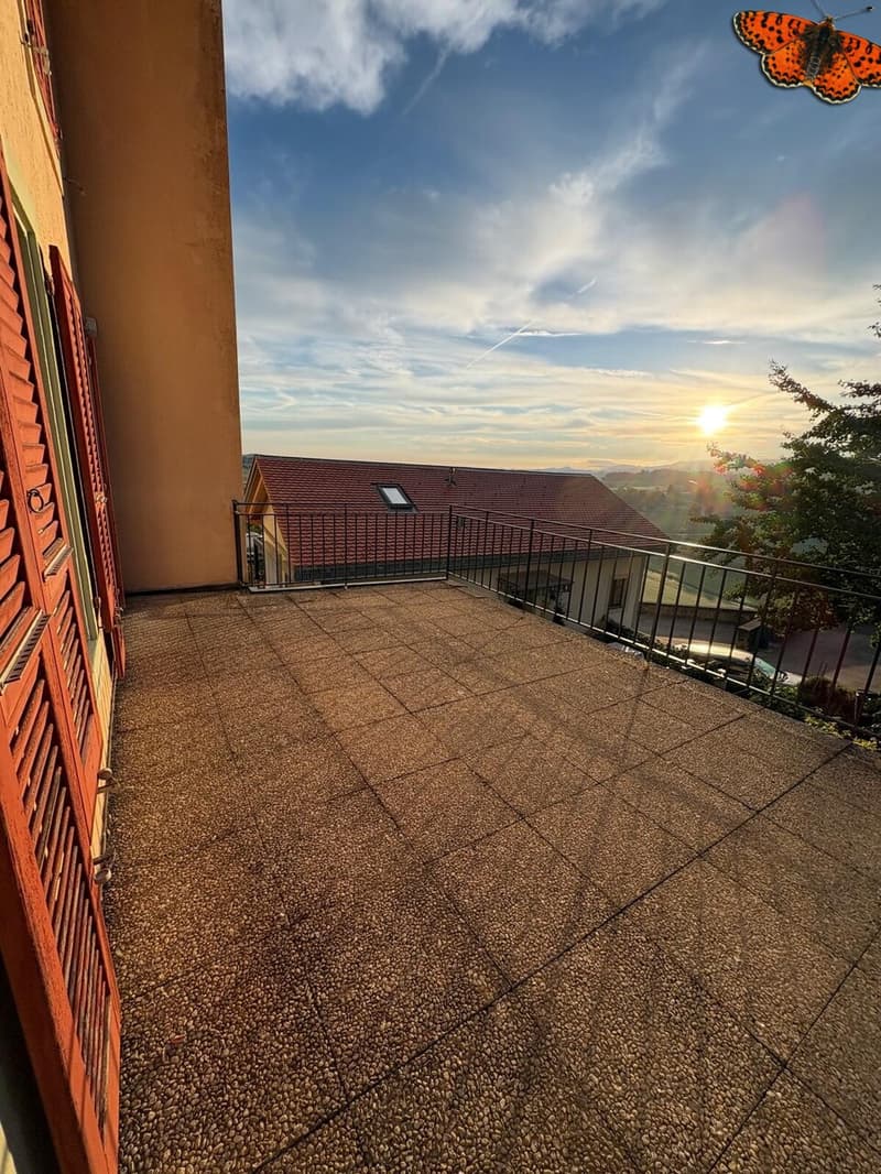 APPARTEMENT DUPLEX DE 2 ½ PIECES A ROMONT ! (2)
