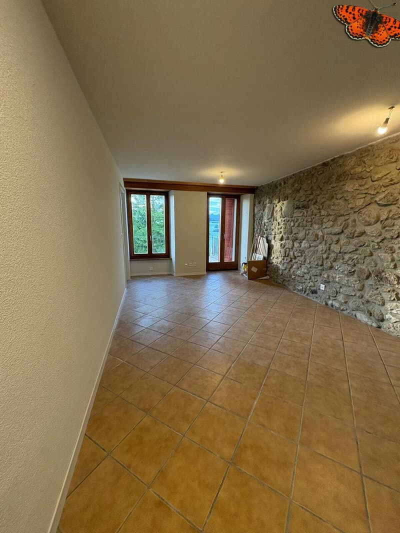 APPARTEMENT DUPLEX DE 2 ½ PIECES A ROMONT ! (8)