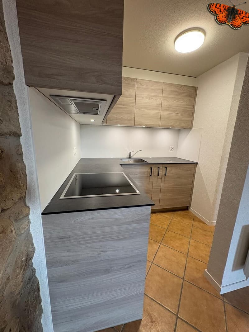 APPARTEMENT DUPLEX DE 2 ½ PIECES A ROMONT ! (3)
