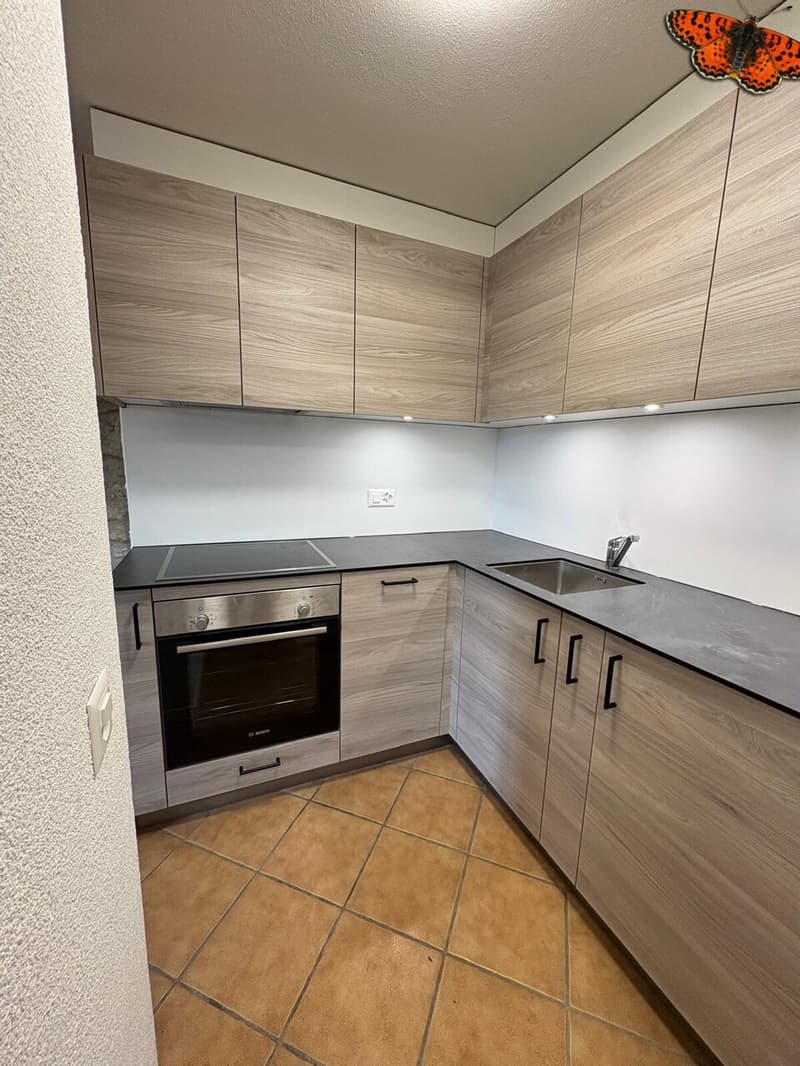 APPARTEMENT DUPLEX DE 2 ½ PIECES A ROMONT ! (4)