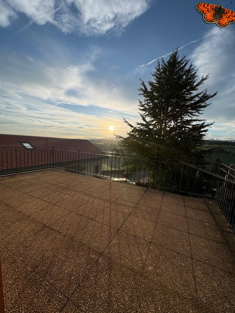 APPARTEMENT DUPLEX DE 2 ½ PIECES A ROMONT ! (1)