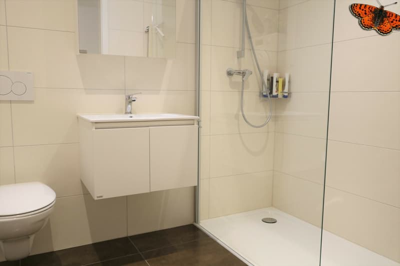 Salle d'eau