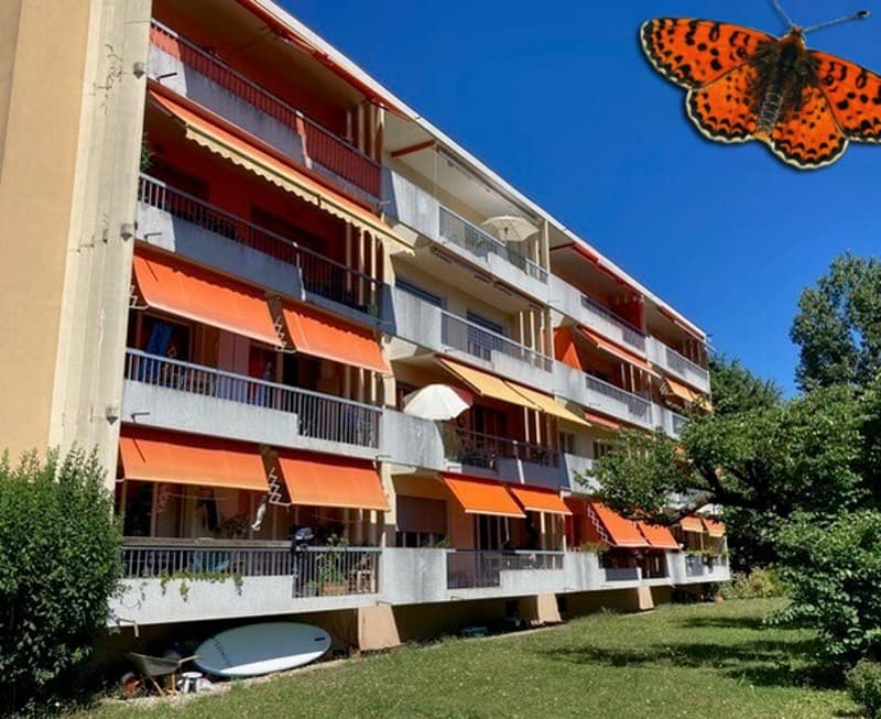 Immeuble