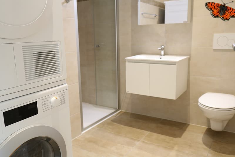 salle de bain avec colonne de lavage