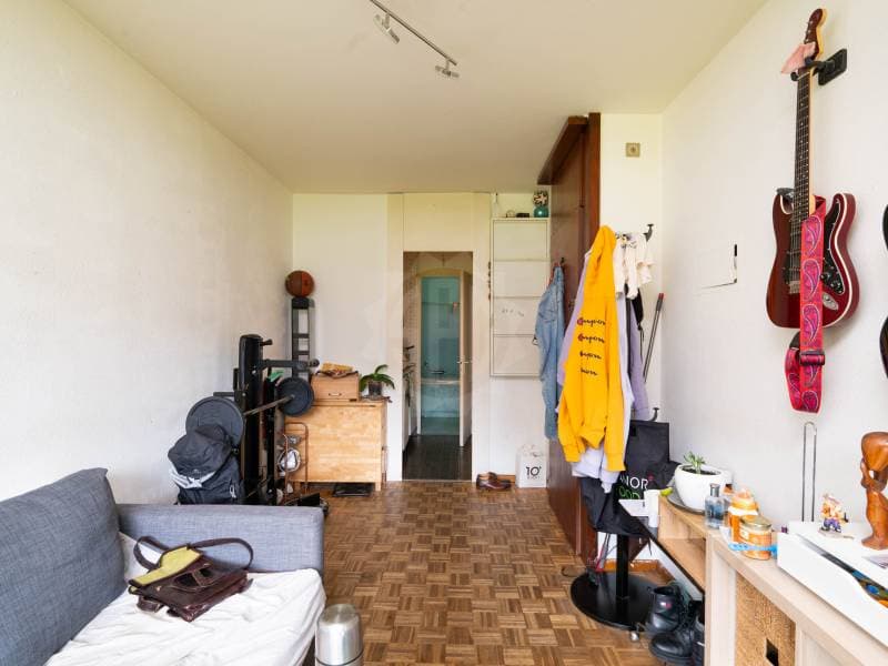 Pleasant apartment - Geneva (2)