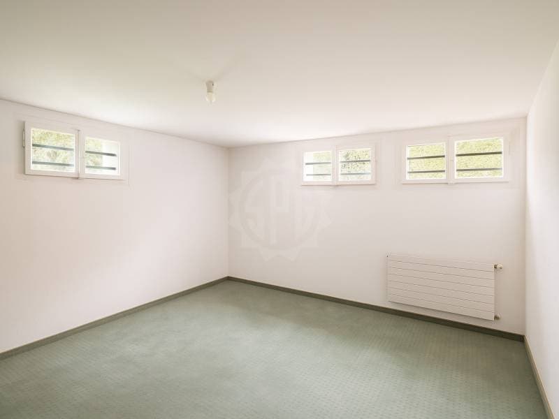 Bright Villa - Cointrin (11)