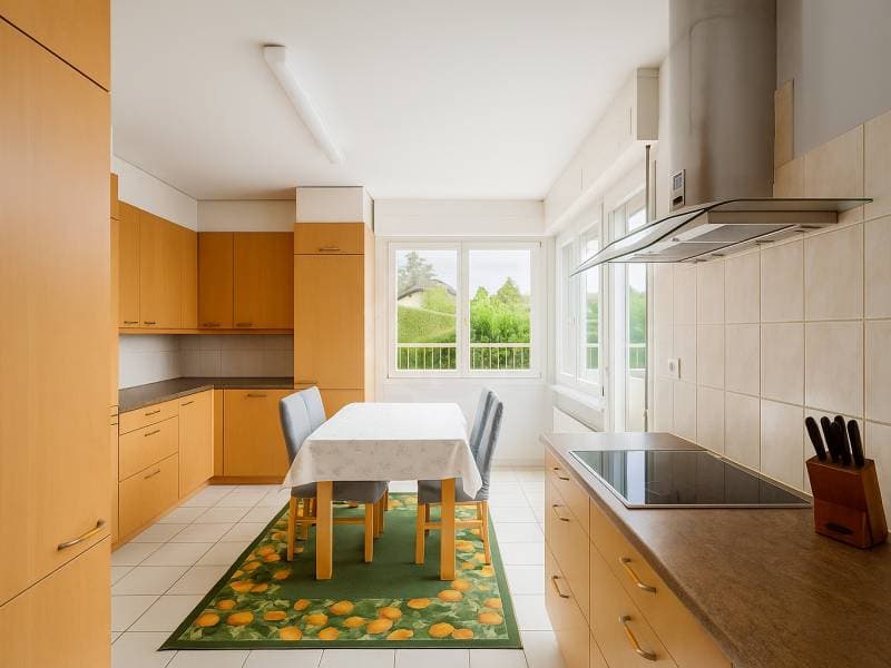 Bright Villa - Cointrin (4)
