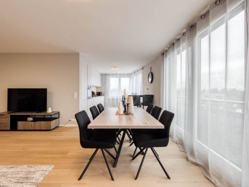 Beautiful apartment - Geneva (5)