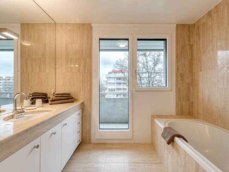 Beautiful apartment - Geneva (8)